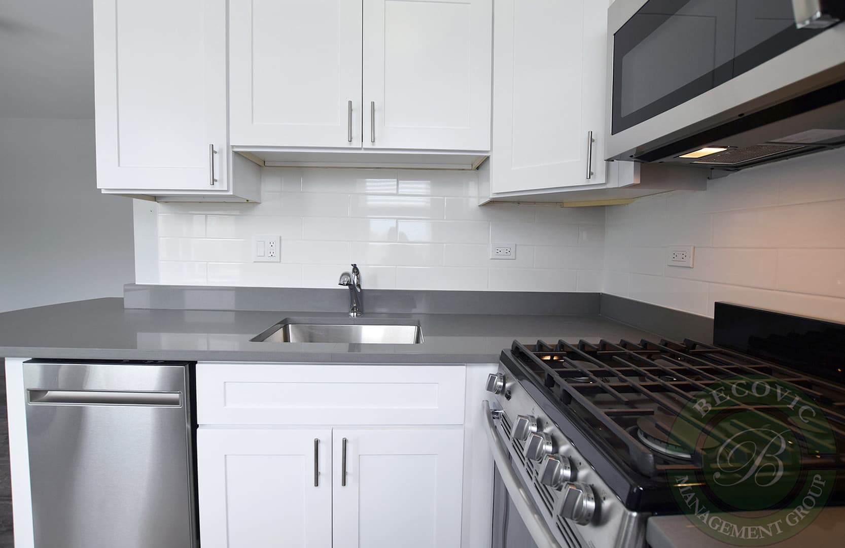 Chicago Apartment: 1521 W Sherwin Ave