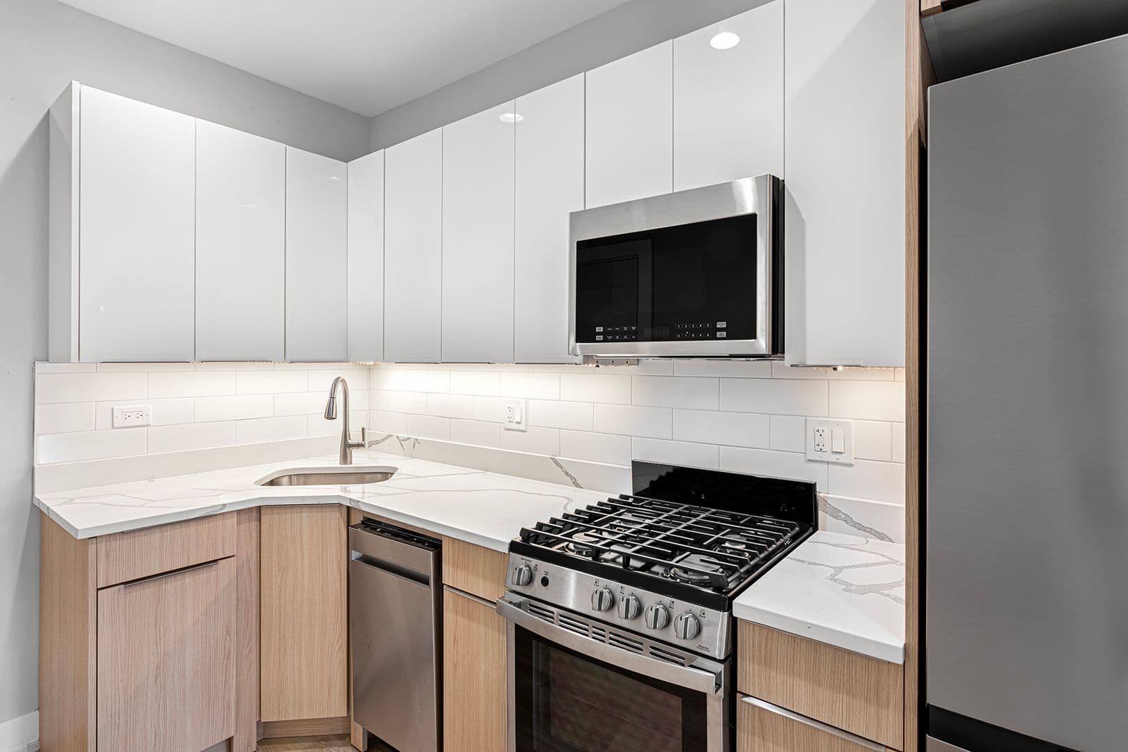 Chicago Apartment: 1649-1655 W. Jonquil