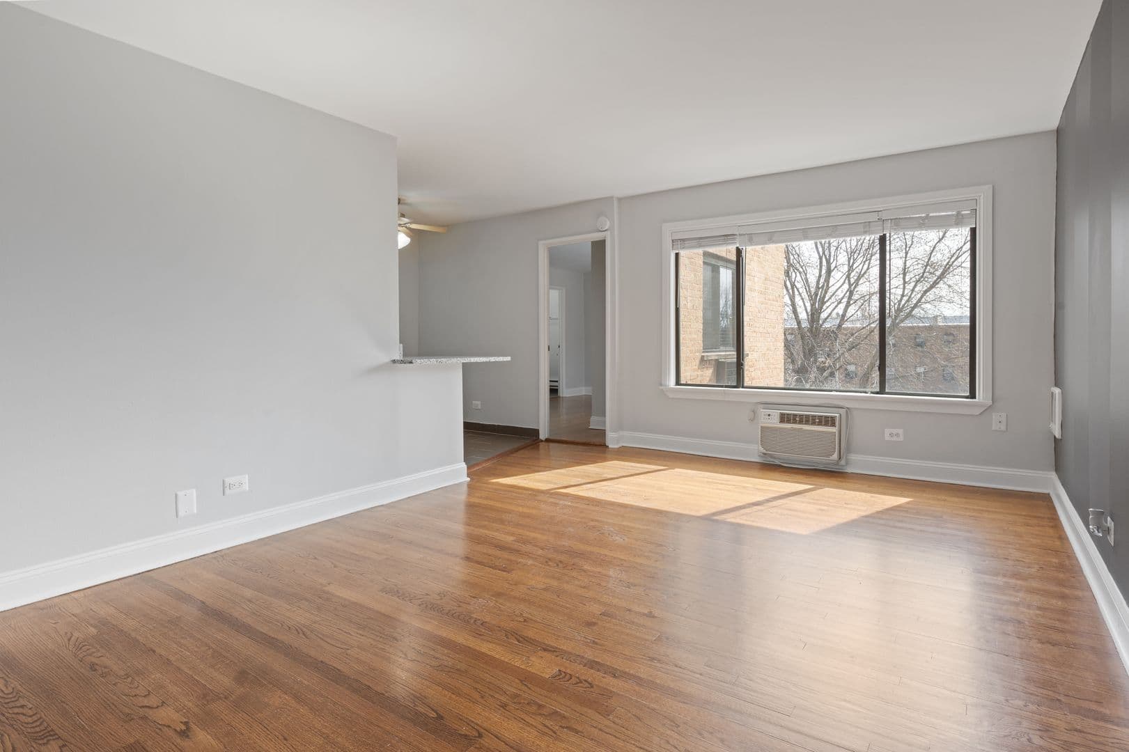 Chicago Apartment: 7545 N Winchester Avenue