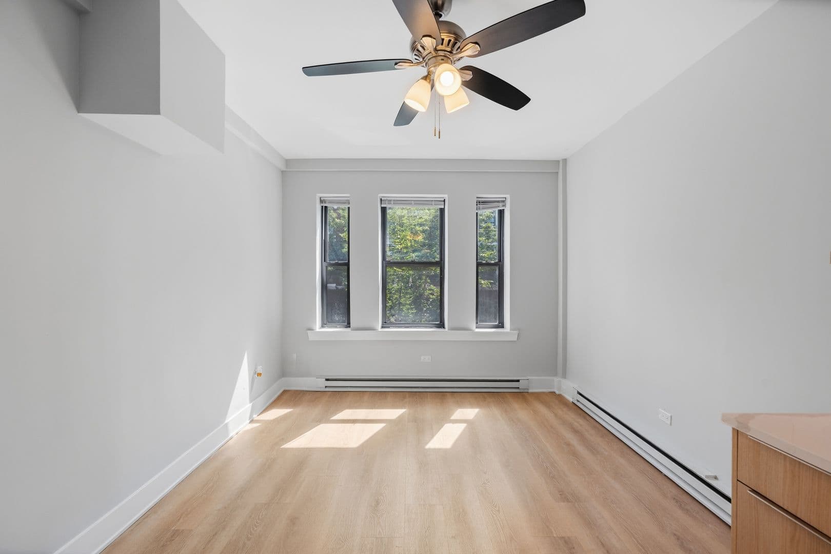 Chicago Apartment: 1632-44 W. Howard