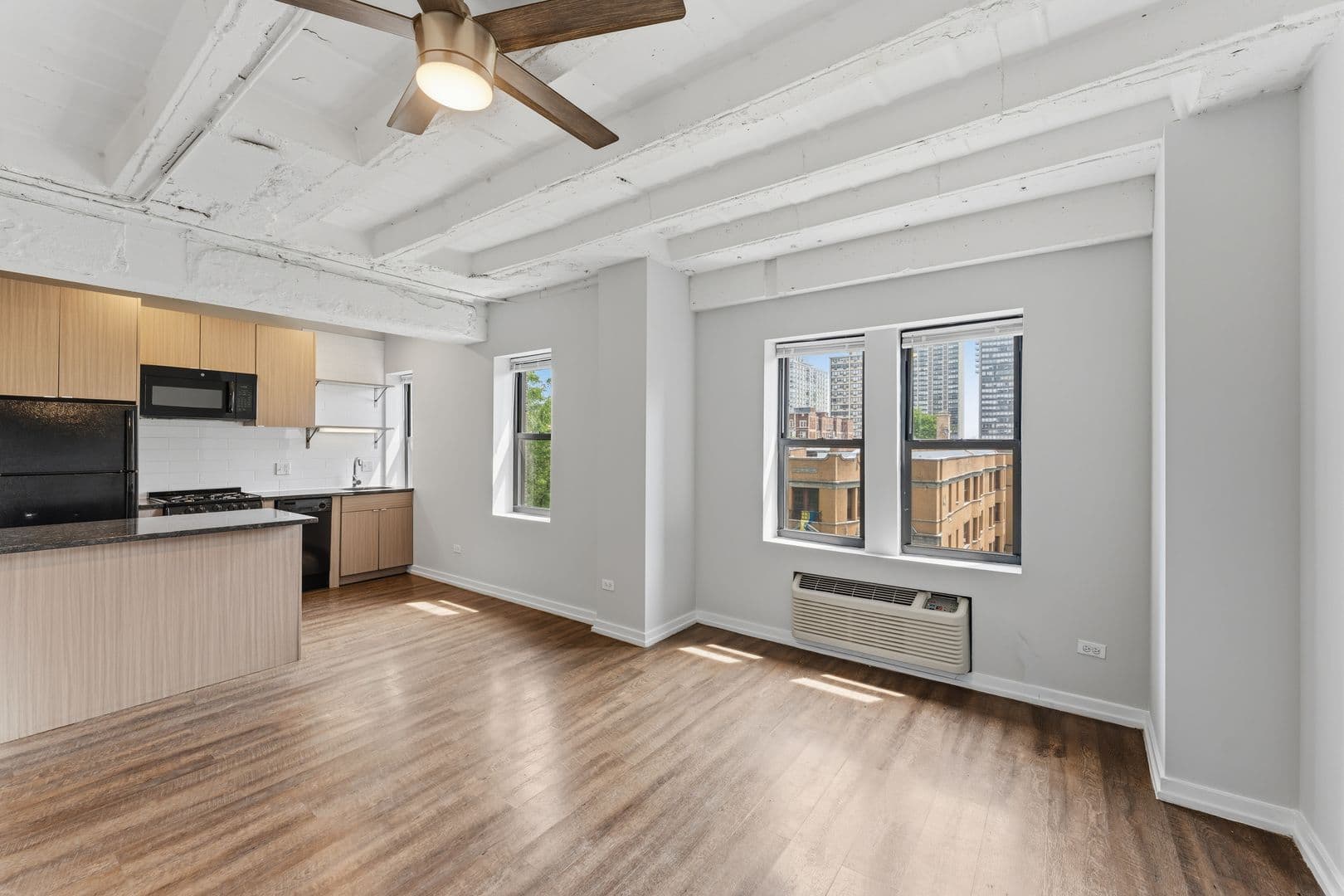 Chicago Apartment: 5718 N Winthrop Avenue