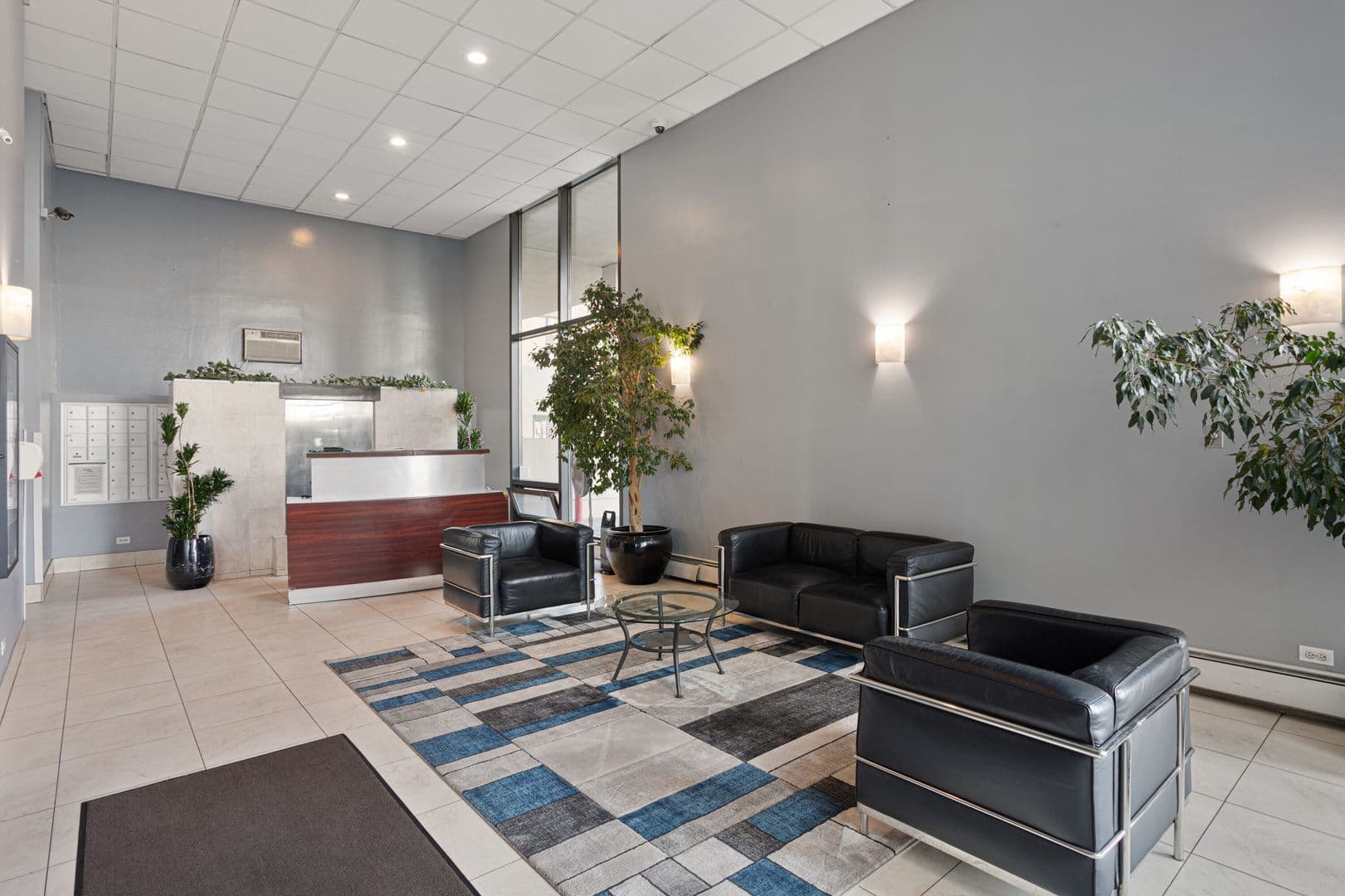 Chicago Apartment: 6166 N Sheridan Rd