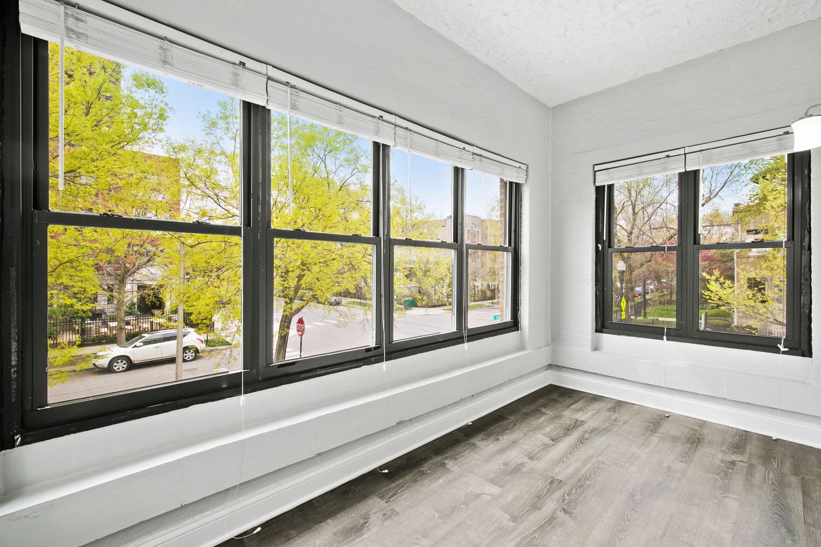 Chicago Apartment: 4555 N Malden St