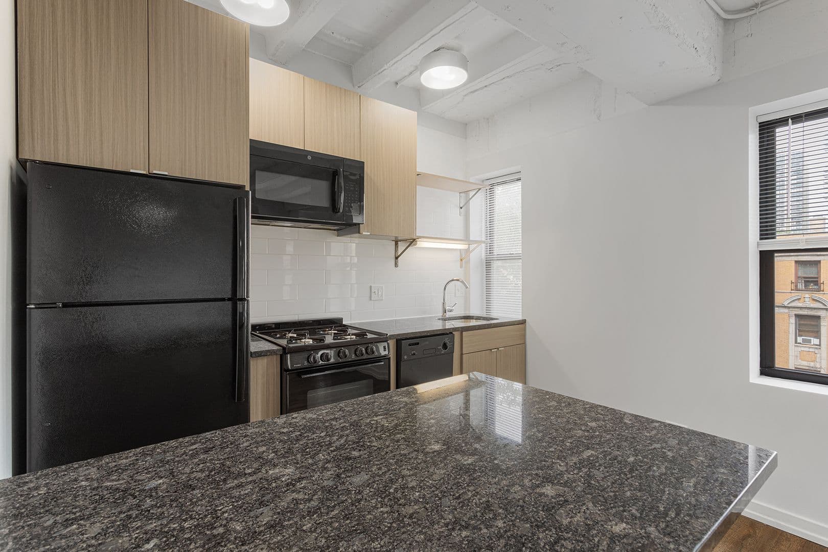 Chicago Apartment: 5718 N Winthrop Avenue