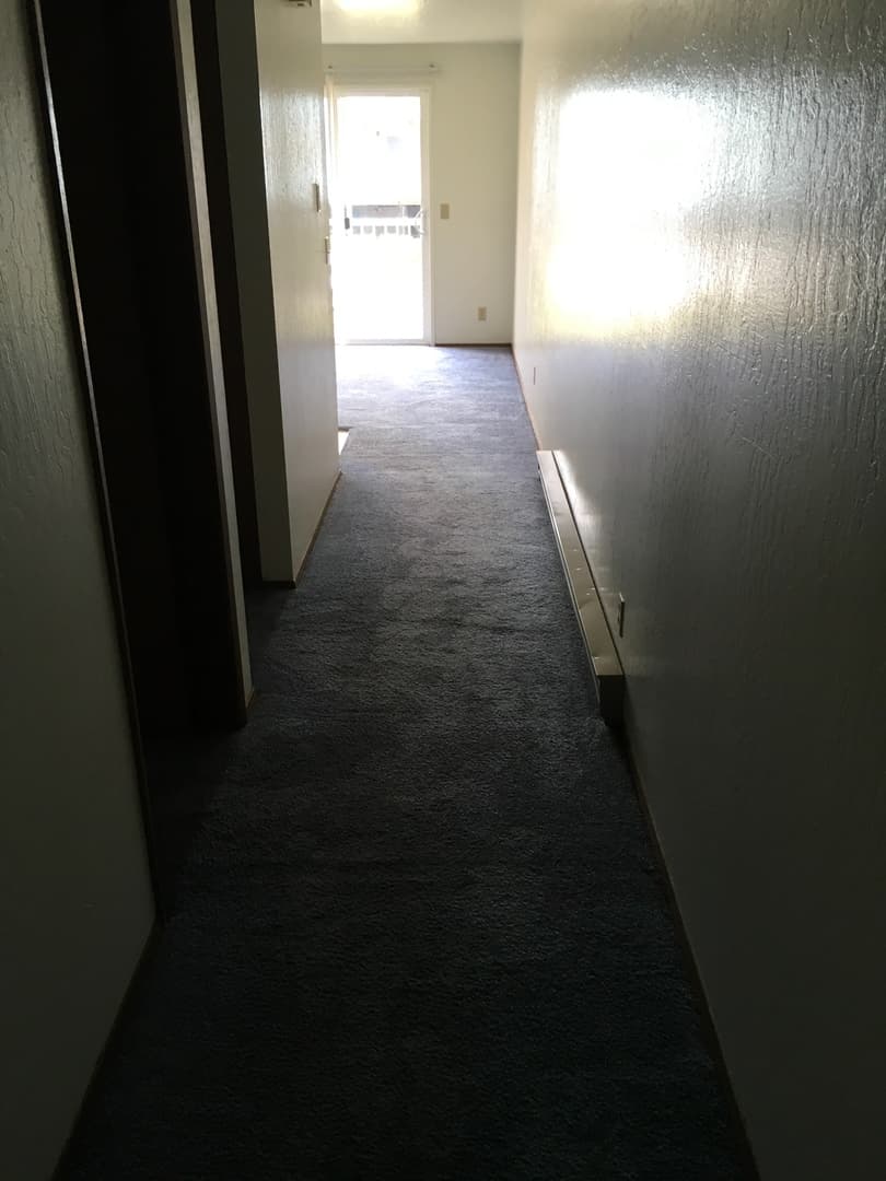 Bellingham Apartment: 816 24th St