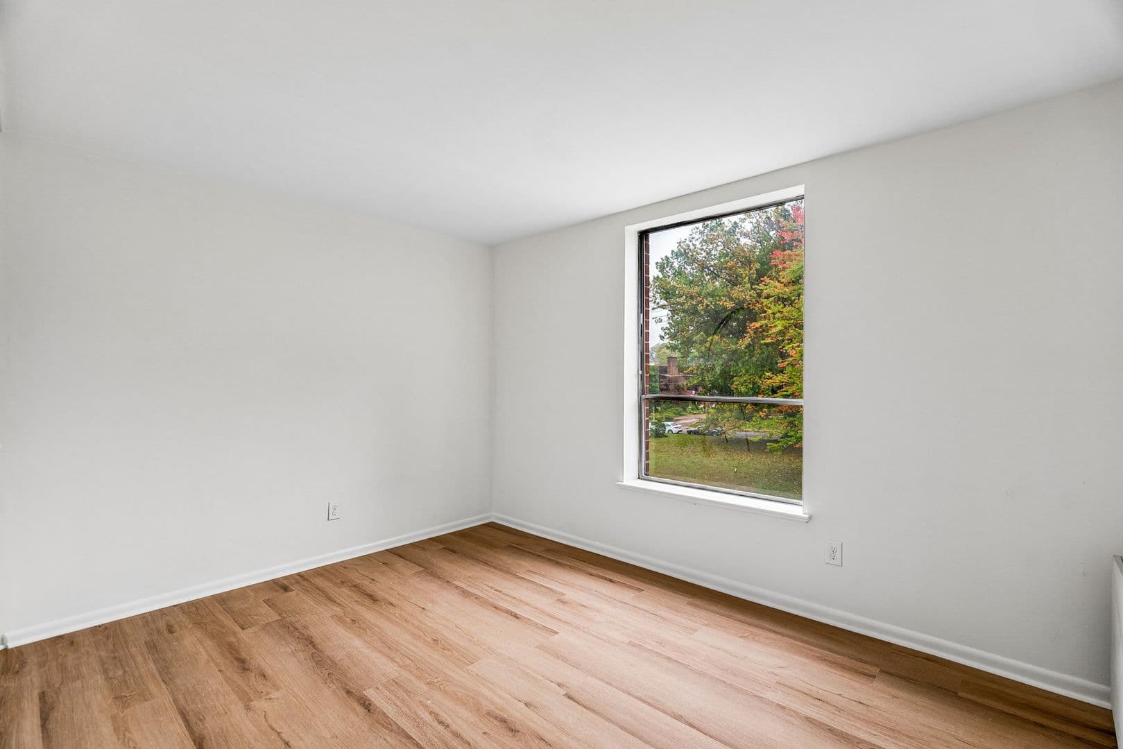 Ardmore Apartment: 170 Lakeside Rd