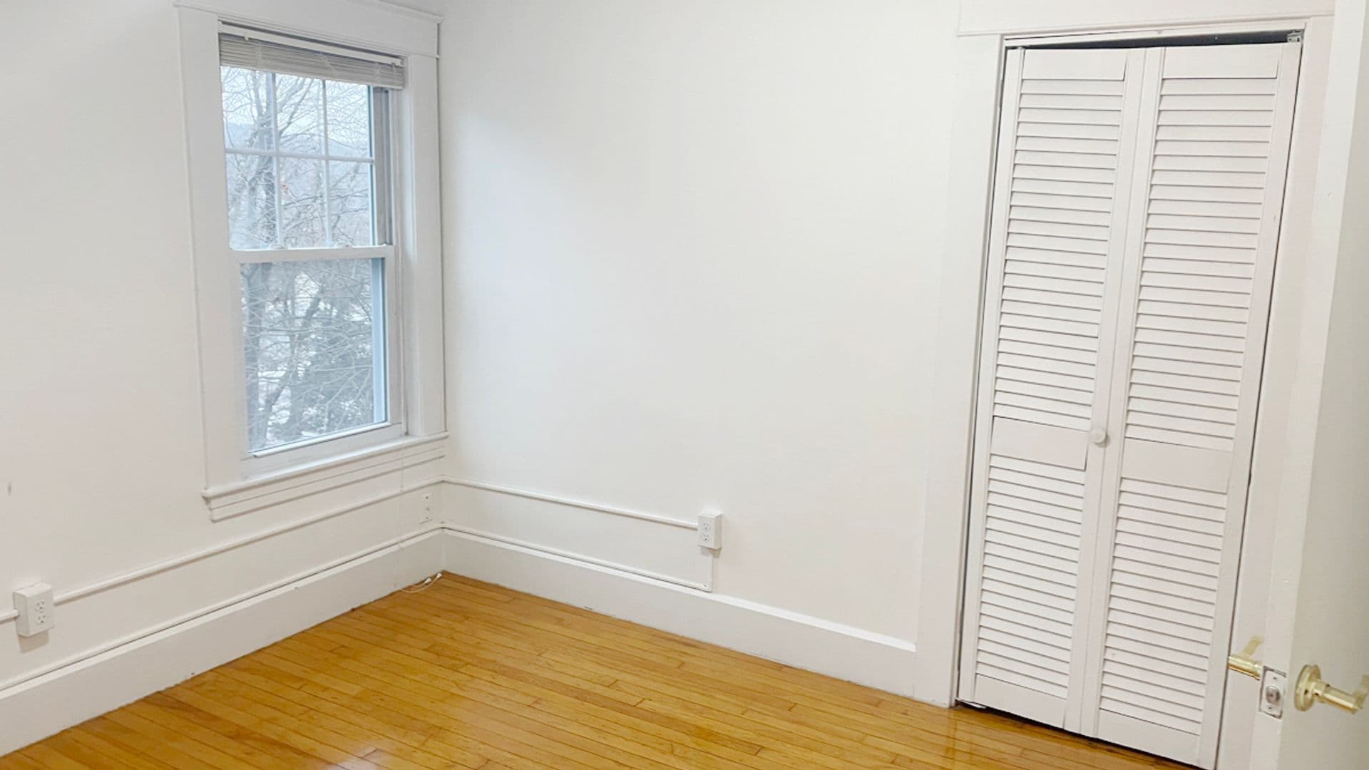Athol Apartment: 73-75 Wallingford Ave