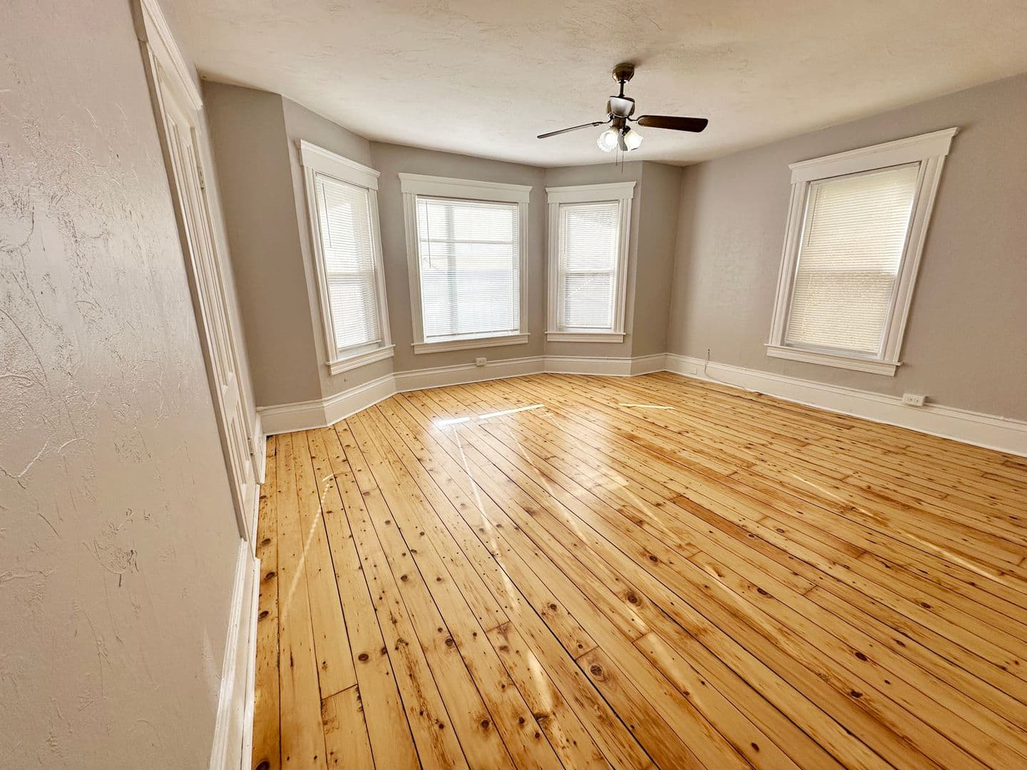 Gardner Apartment: 38 Oriole Street