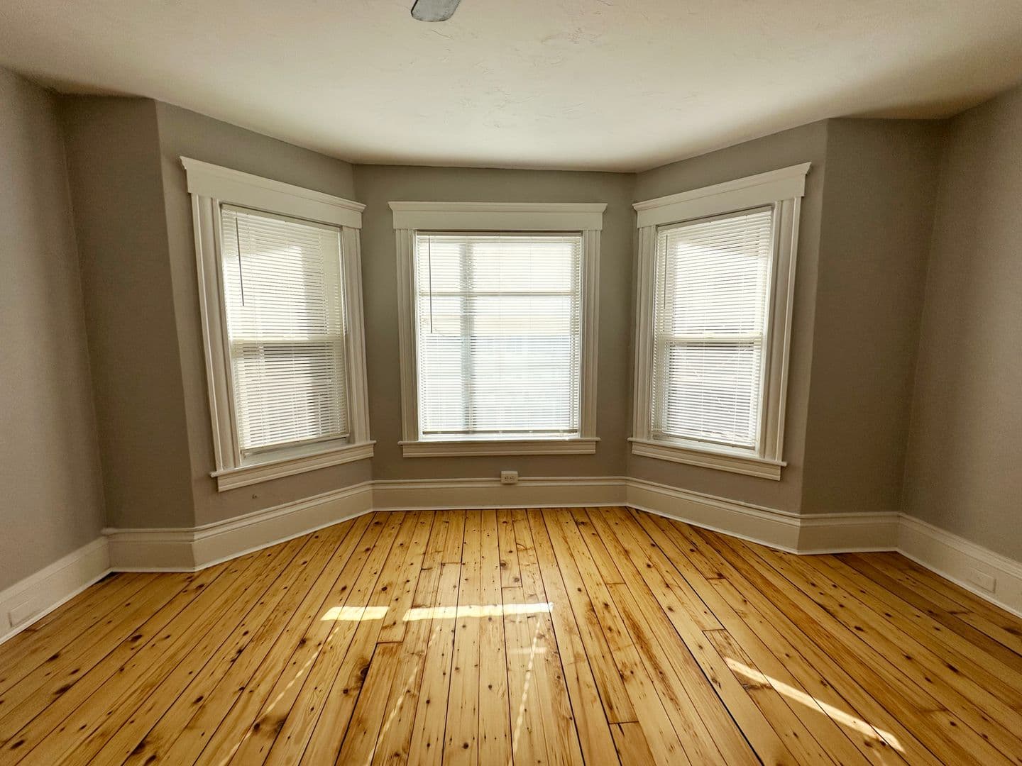 Gardner Apartment: 38 Oriole Street