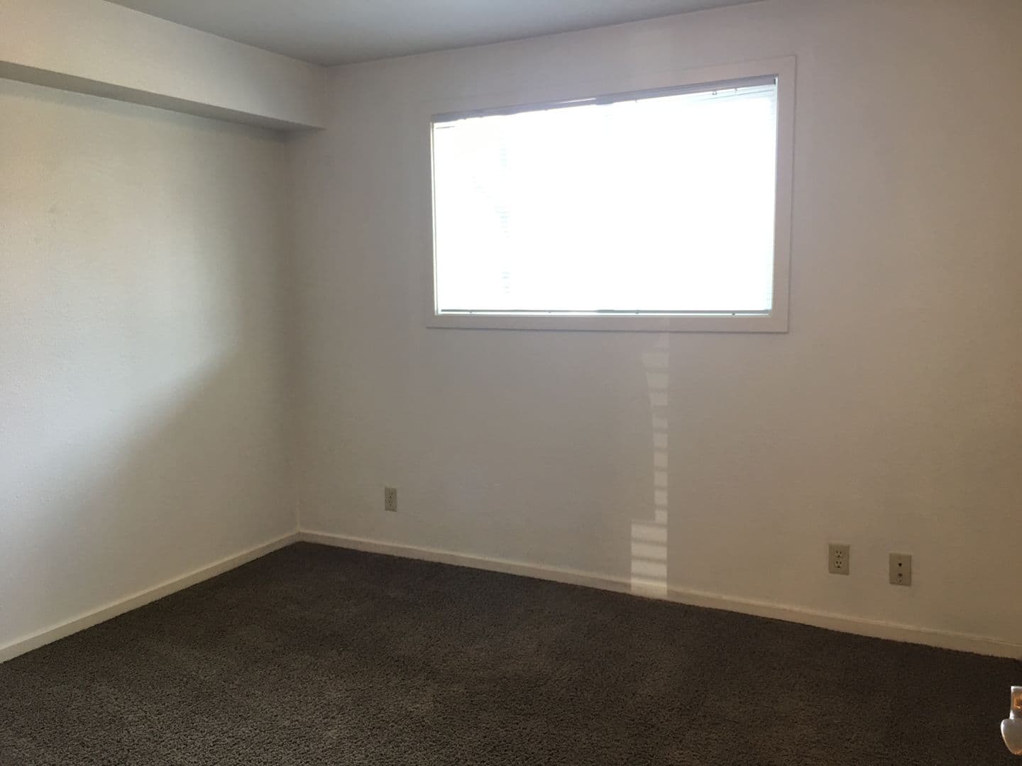 Eugene Apartment: 183 East 19th
