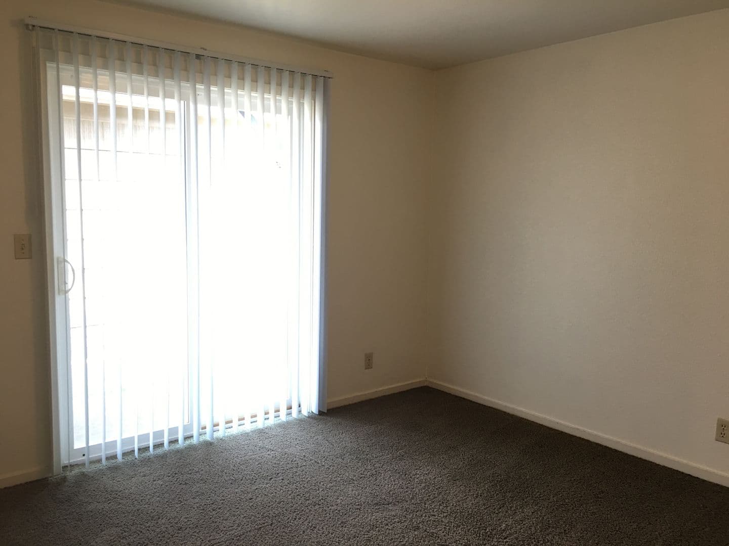 Eugene Apartment: 183 East 19th