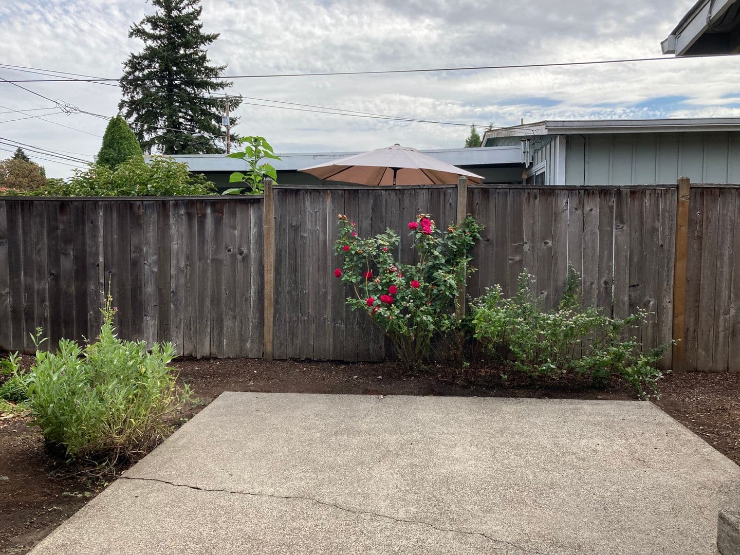 Eugene Apartment: 84/86 Kourt Drive