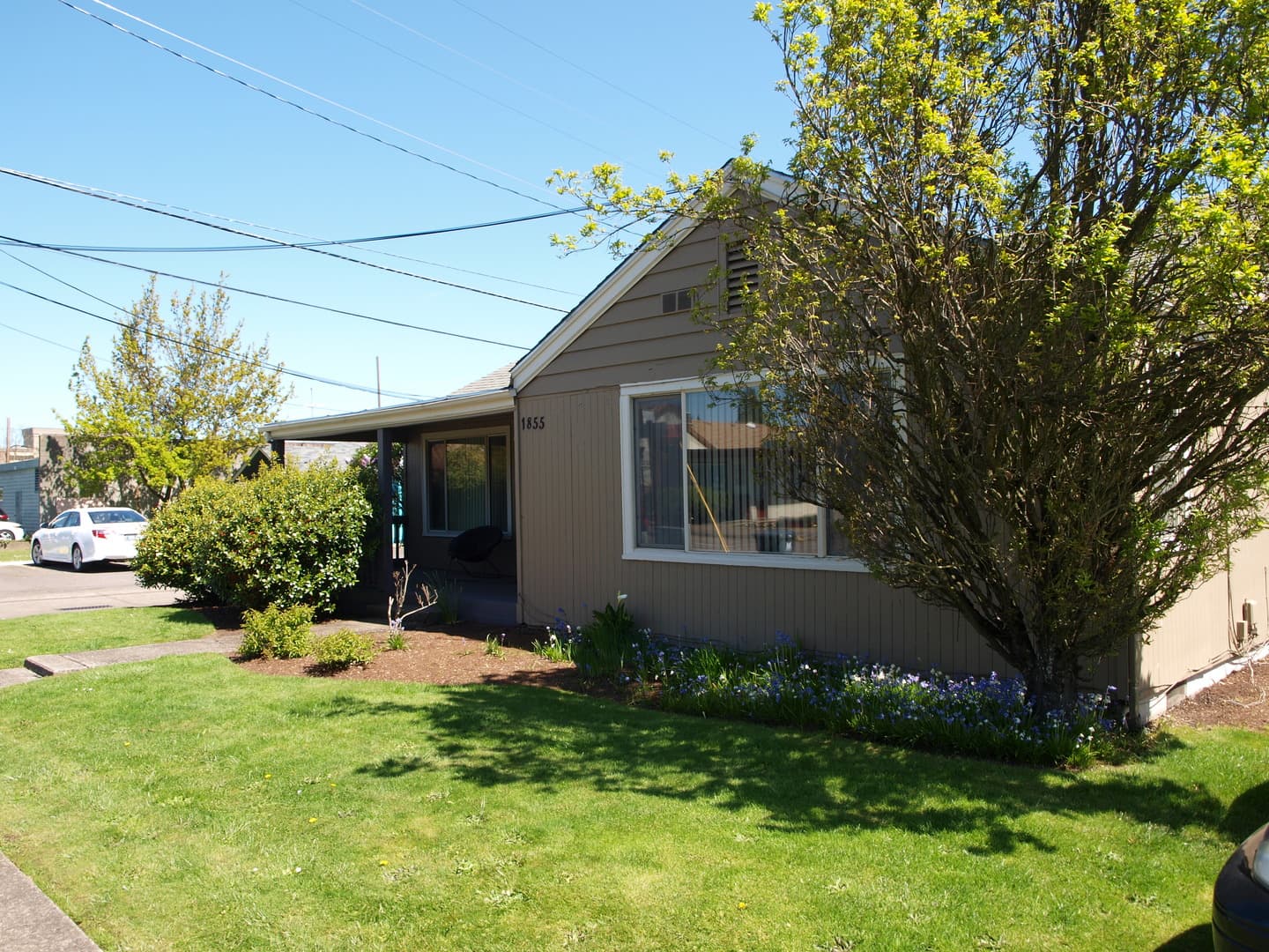 Eugene Apartment: 1855 Oak