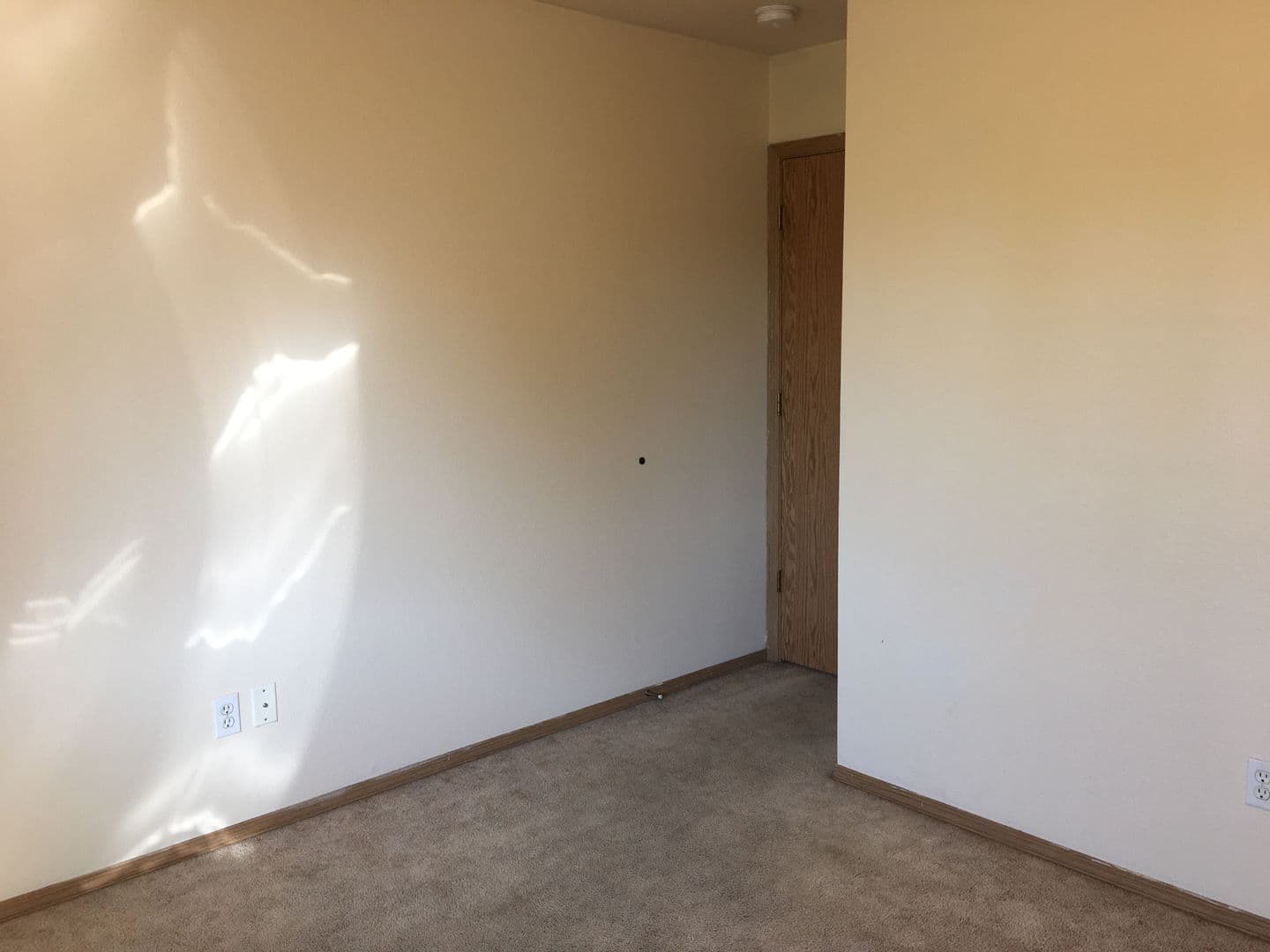 Eugene Apartment: 1772 Hilyard St #6