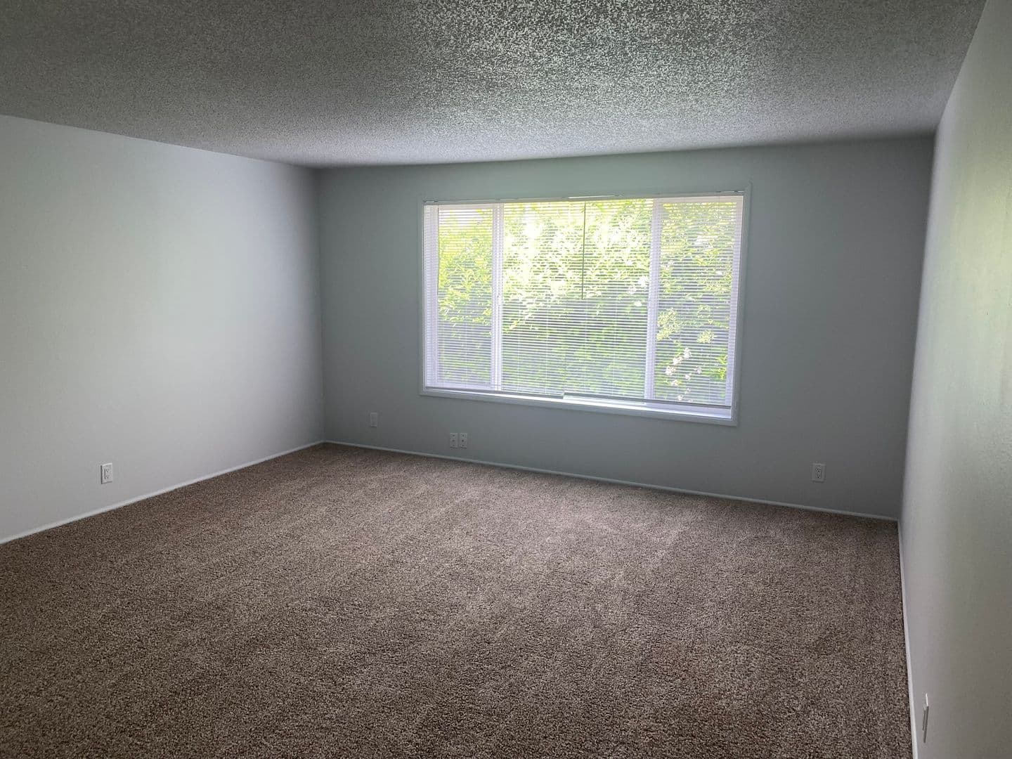Eugene Apartment: 531 W. 11th Ave