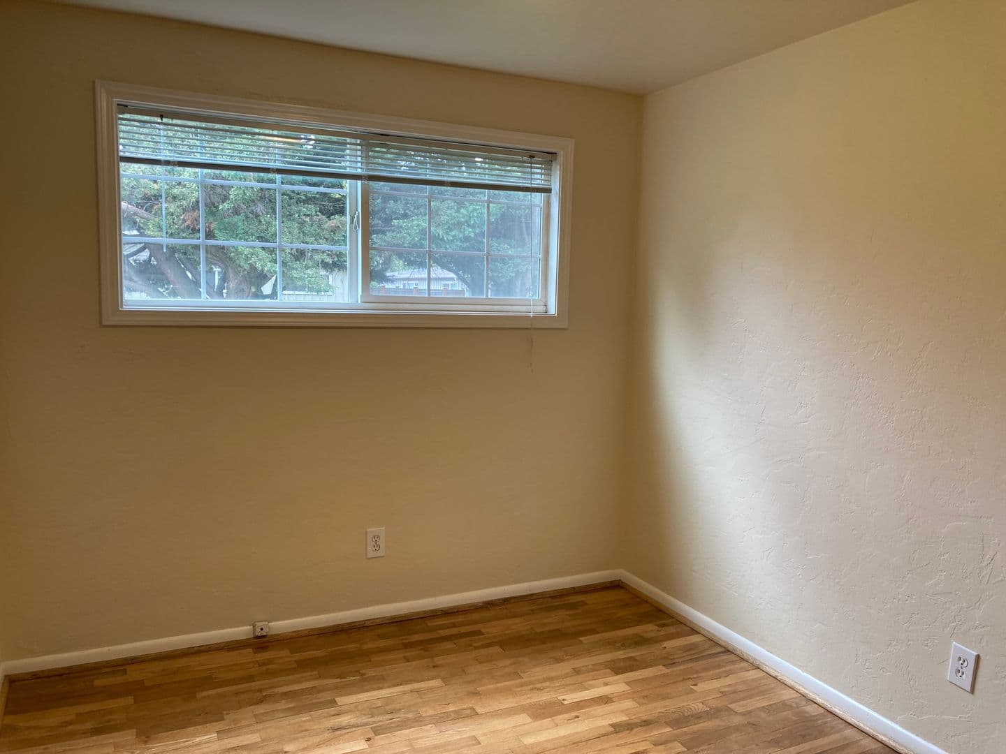 Eugene Apartment: 84/86 Kourt Drive