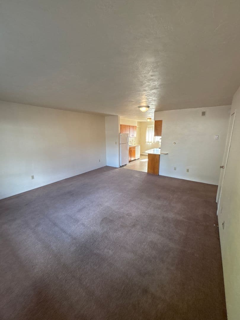 Eugene Apartment: 1647 Mill Street