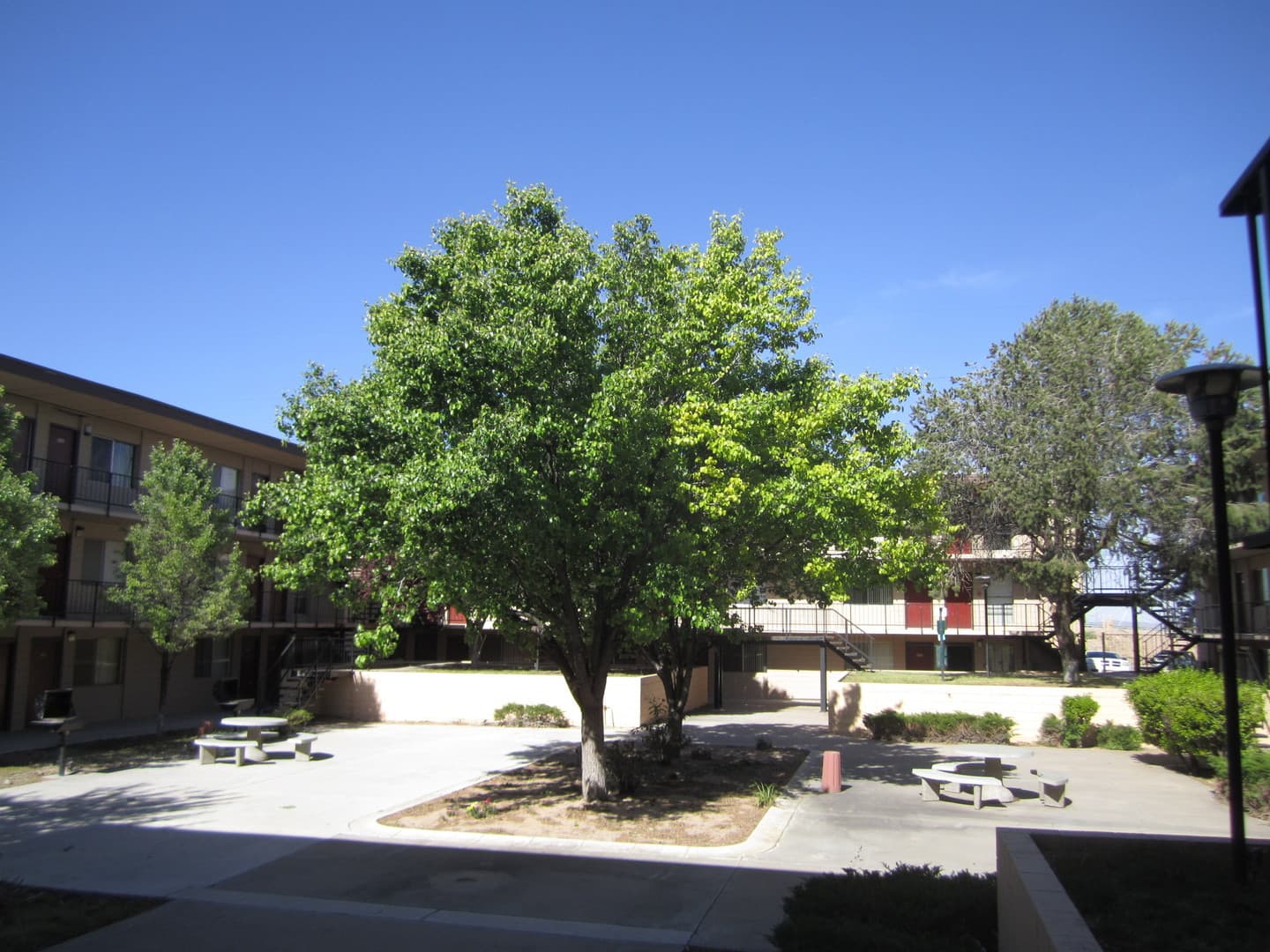 Albuquerque Apartment: 6230 Indian School Rd NE