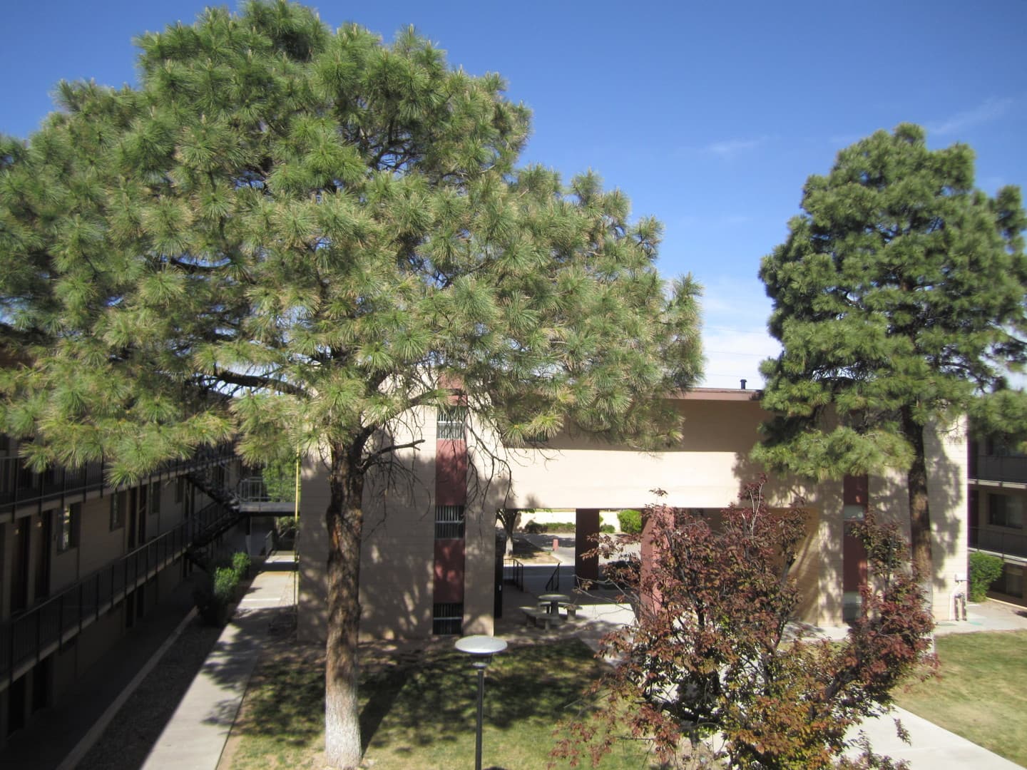 Albuquerque Apartment: 6230 Indian School Rd NE