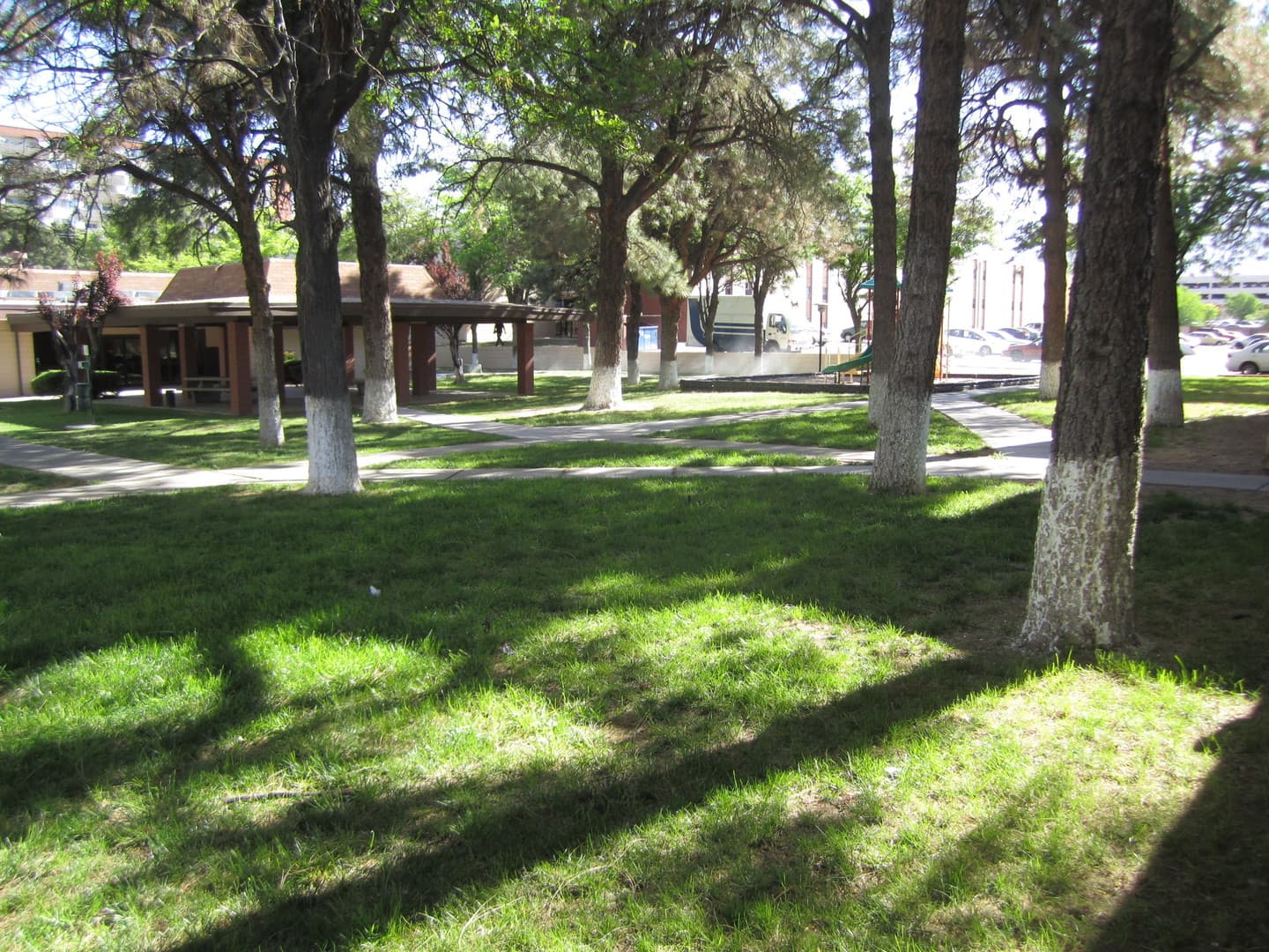 Albuquerque Apartment: 6230 Indian School Rd NE