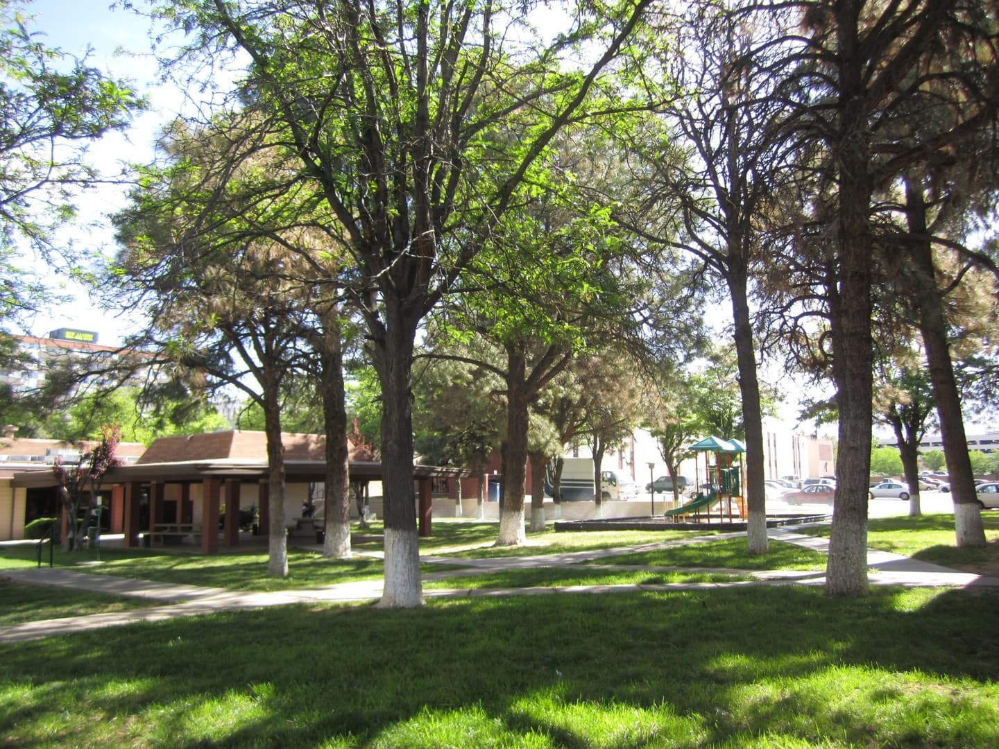 Albuquerque Apartment: 6230 Indian School Rd NE