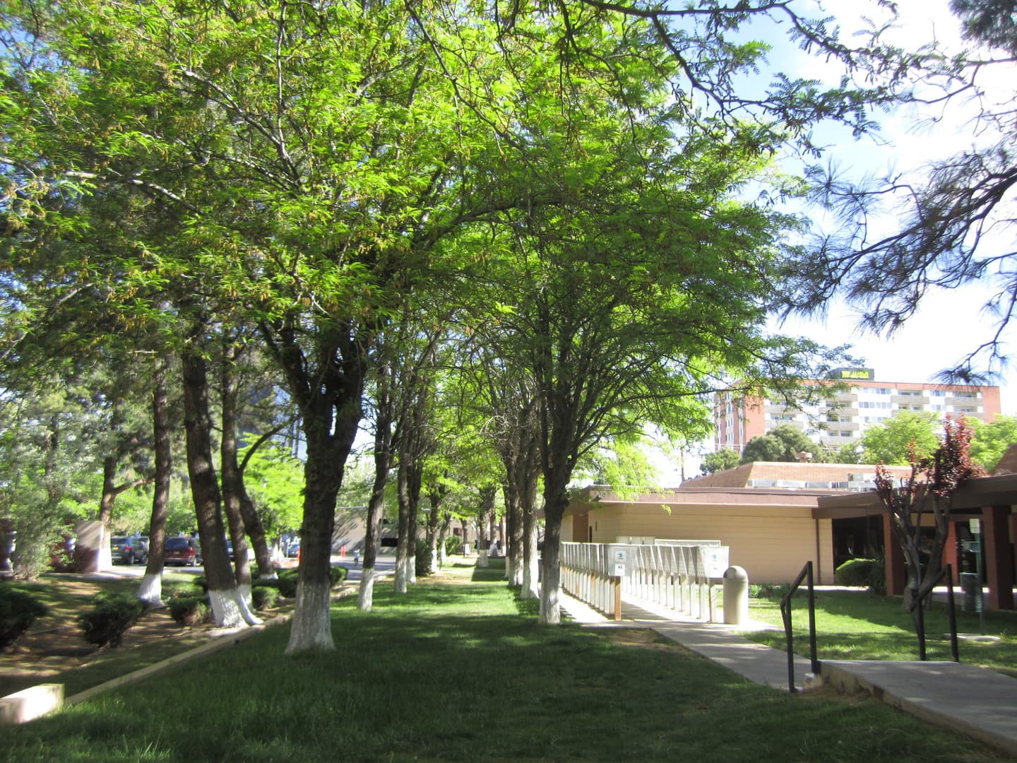 Albuquerque Apartment: 6230 Indian School Rd NE