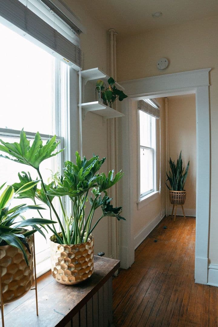 Cheyenne Apartment: 808 East 18th Street
