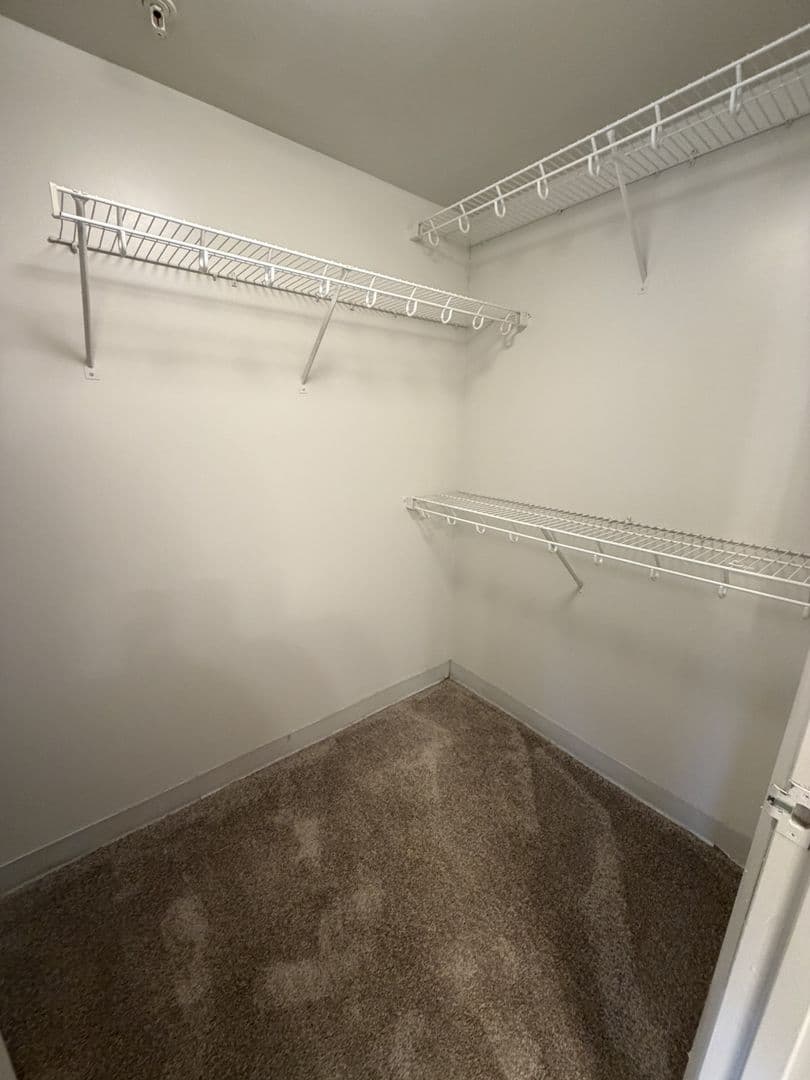 Richmond Apartment: 515 West Franklin Street
