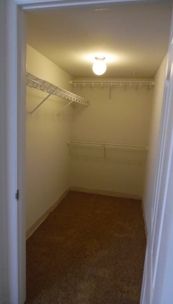 Richmond Apartment: 515 West Franklin Street