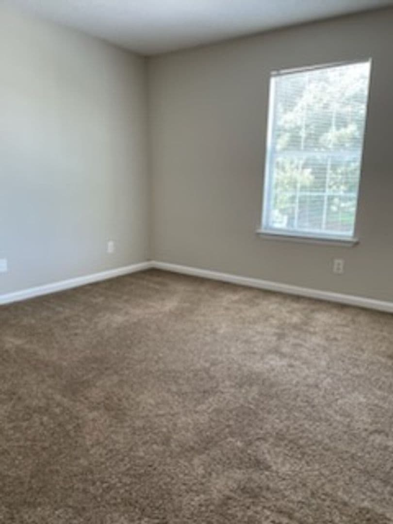 Cleveland Apartment: 3417 Old Tasso Rd
