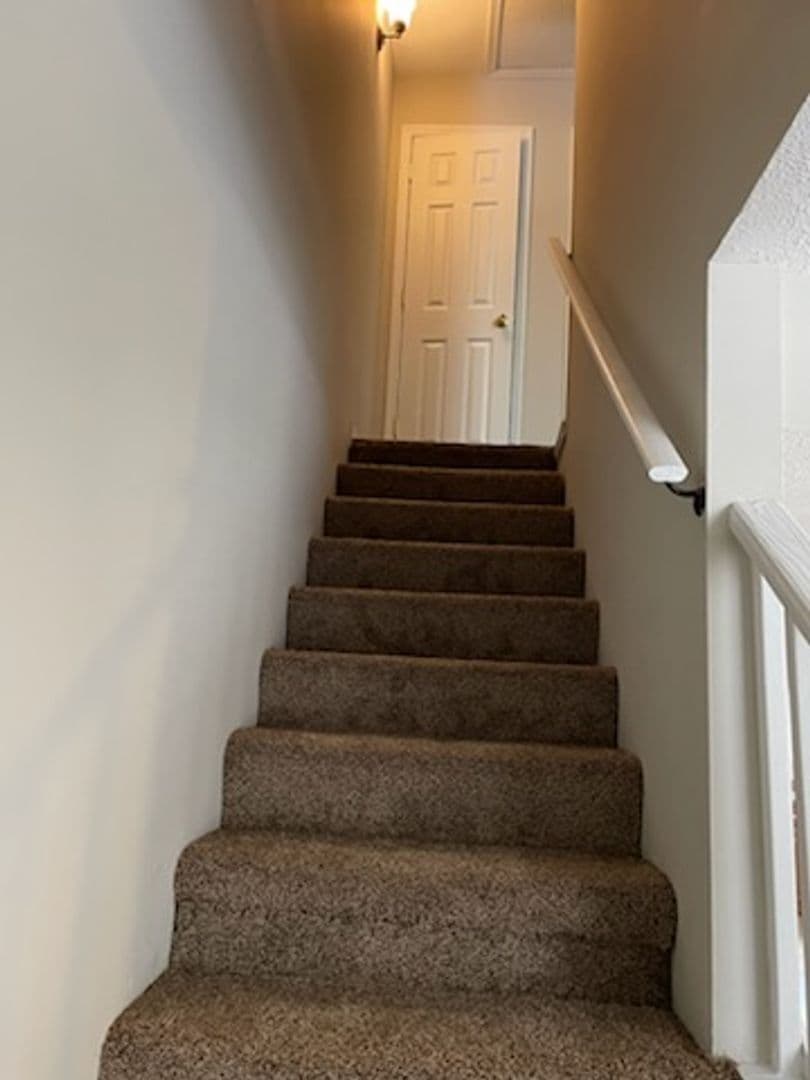 Cleveland Apartment: 3417 Old Tasso Rd