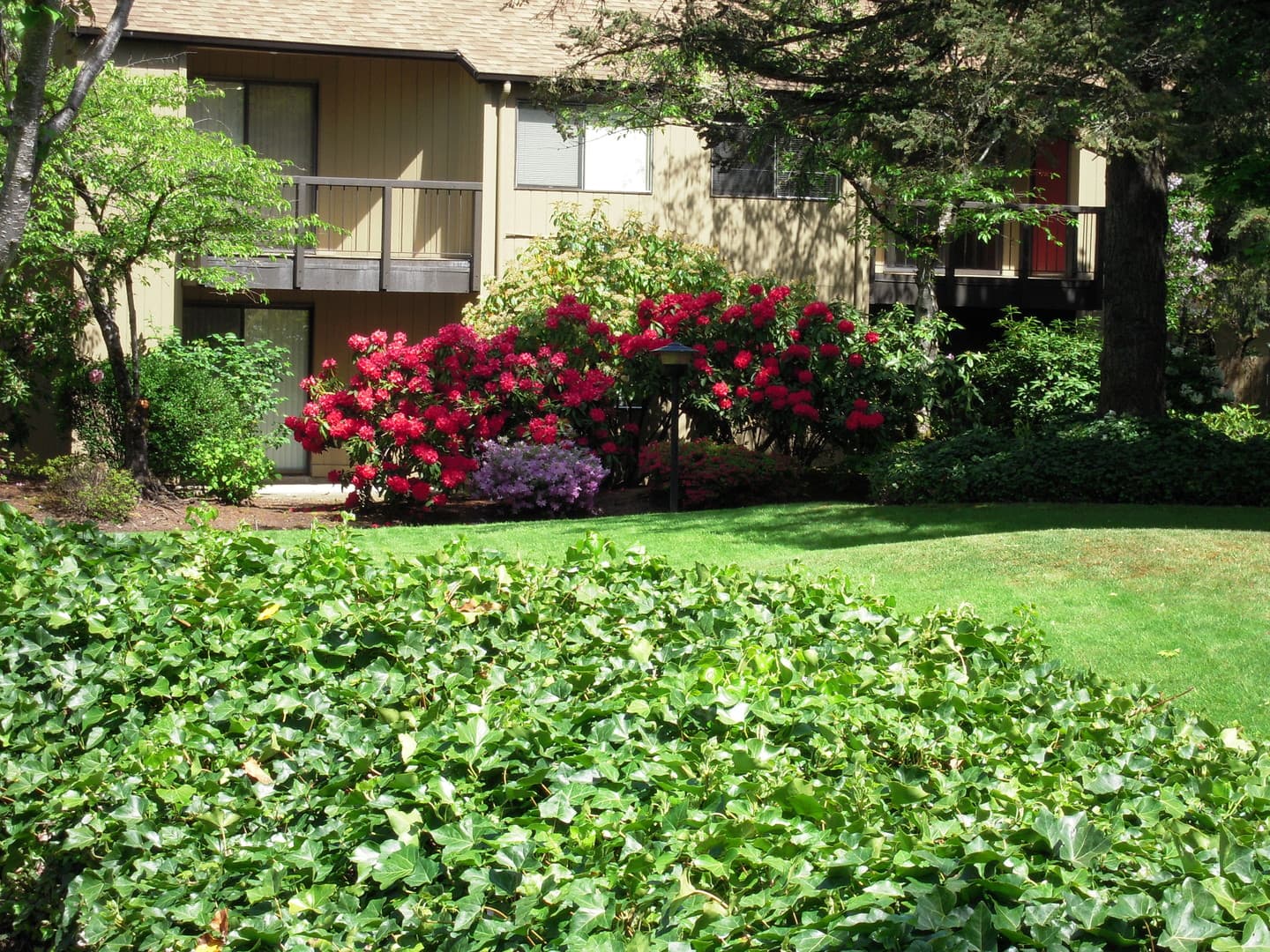 Eugene Apartment: 1800 Cal Young Road