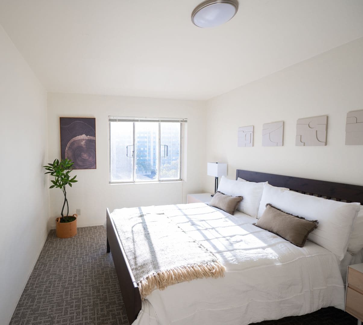 Eugene Apartment: 1040-1050 Ferry St