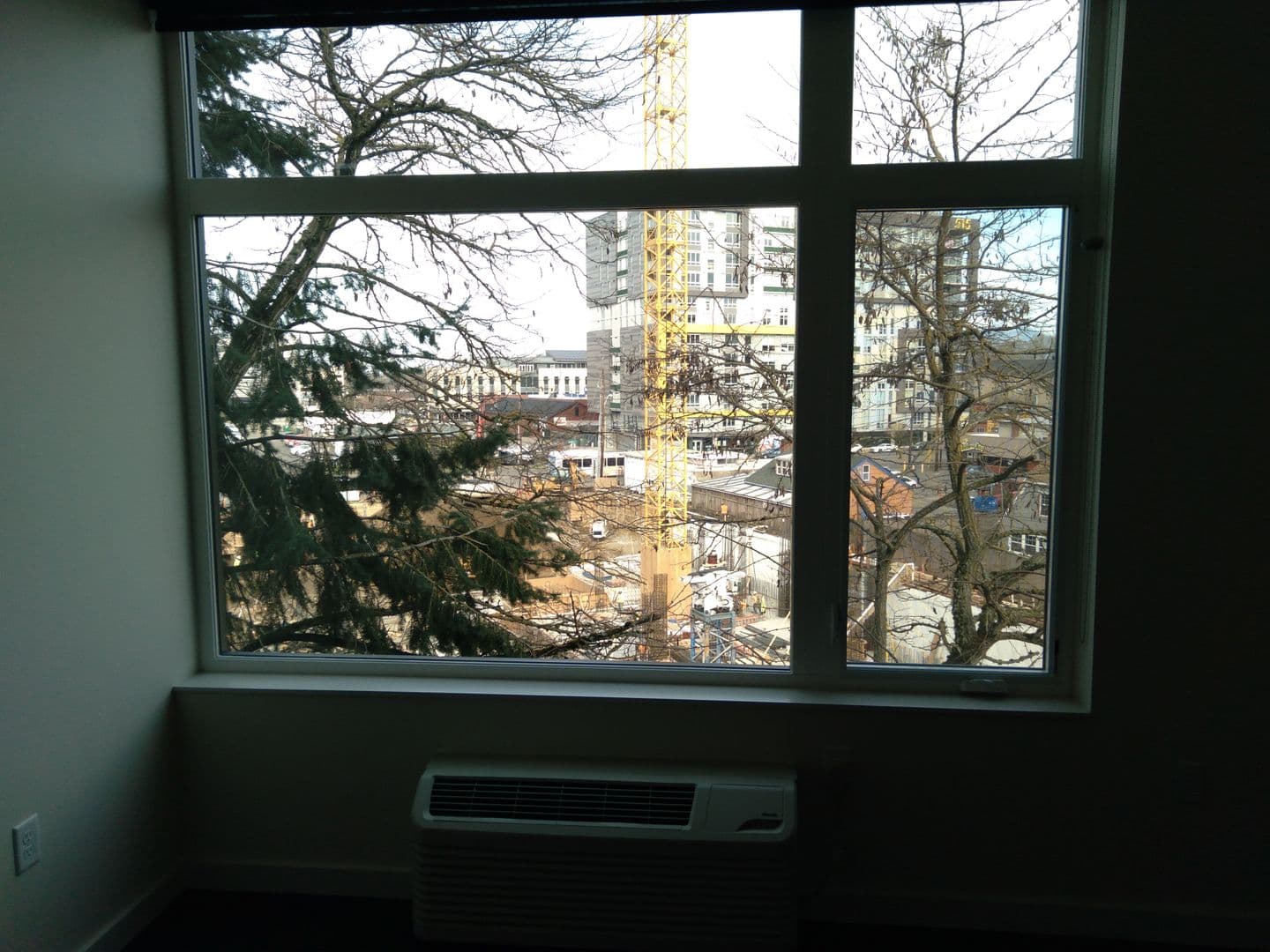 Eugene Apartment: 1030 Ferry St