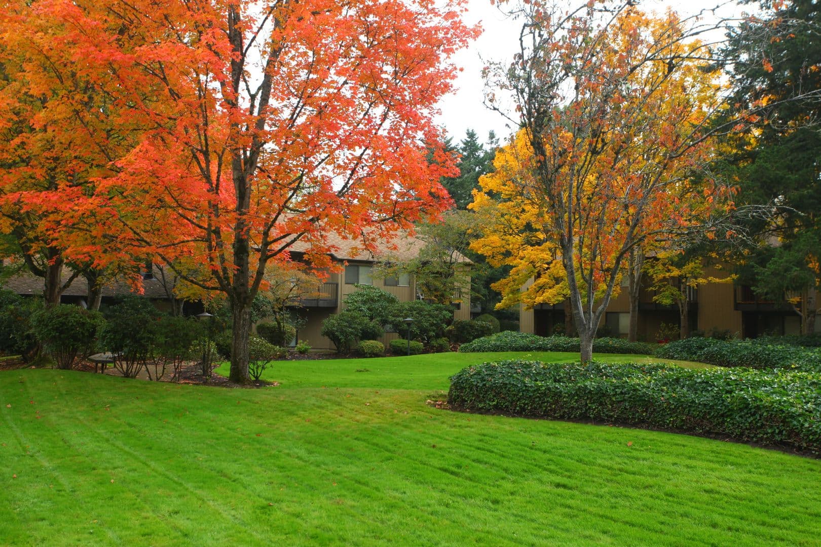 Eugene Apartment: 1800 Cal Young Road