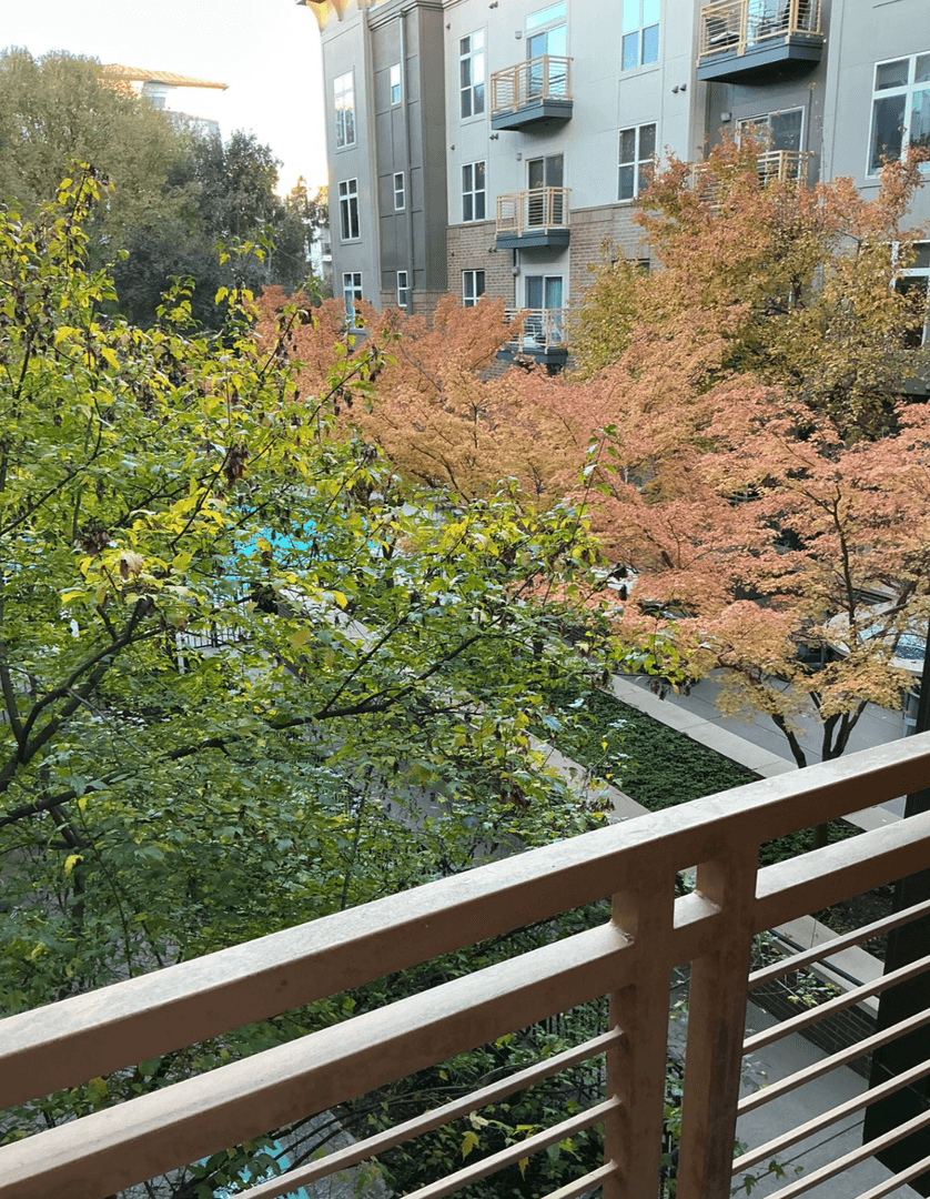 Charlotte Apartment: 730 Hawthorne Lane