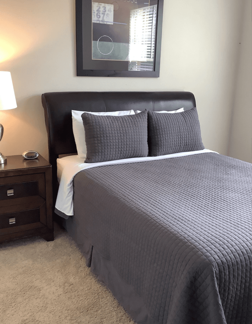 Fort Mill Apartment: 287 Textile Way
