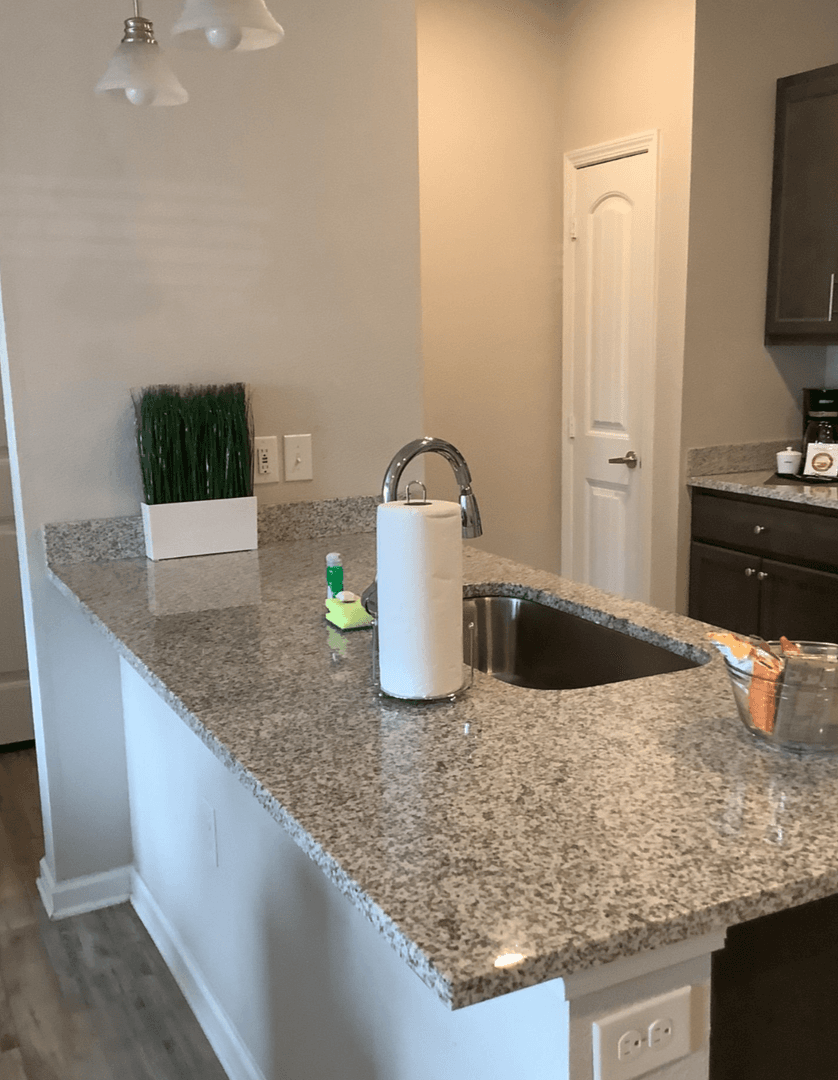 Fort Mill Apartment: 287 Textile Way