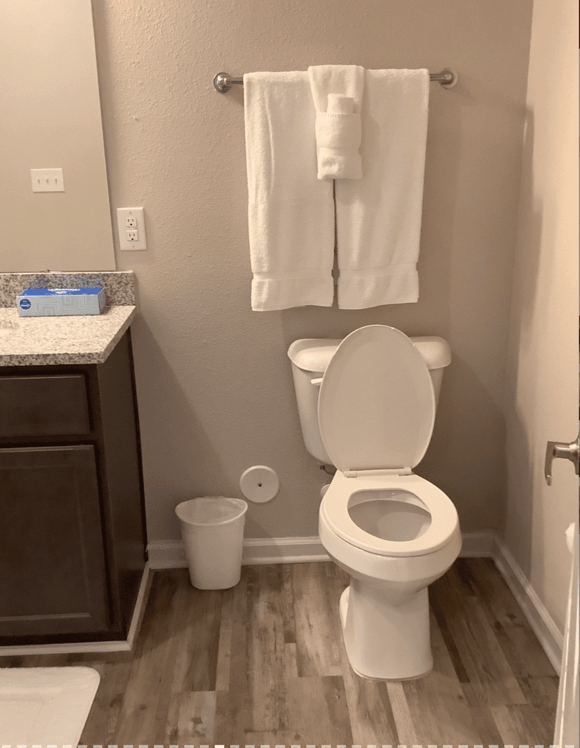 Fort Mill Apartment: 287 Textile Way