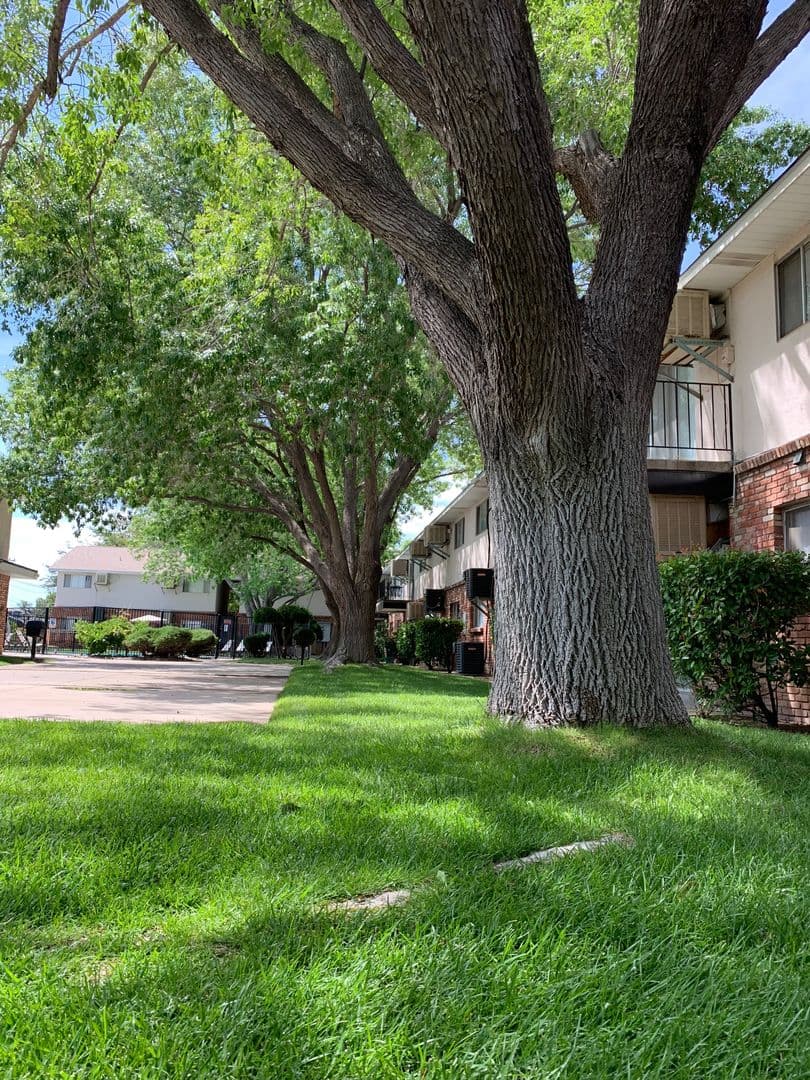 Albuquerque Apartment: 1400 Virginia St. NE