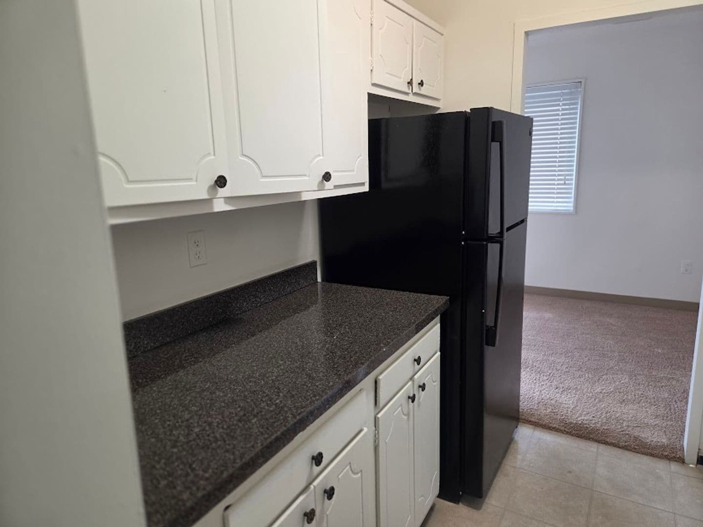 Arlington Apartment: 1530 N. 12th Street