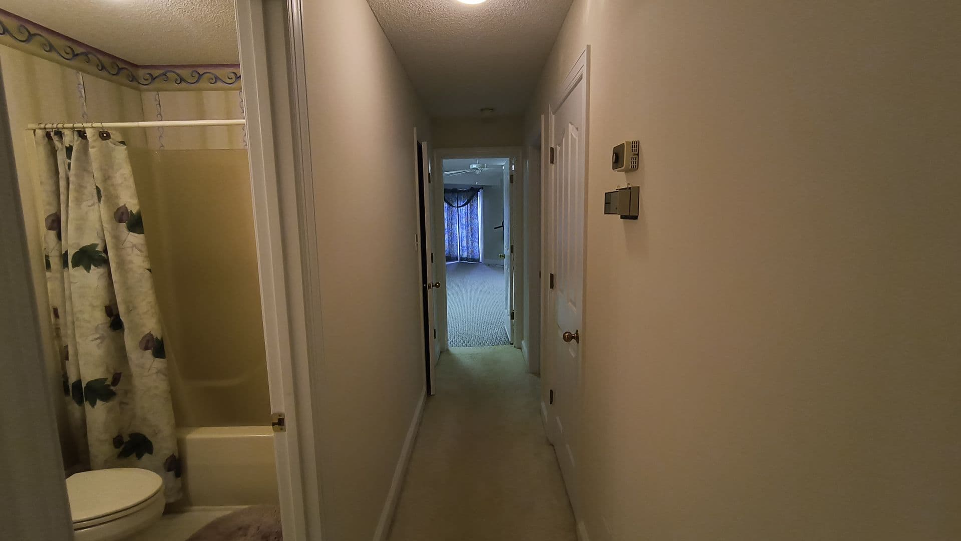 Fayetteville House: 423 Brightwood Drive