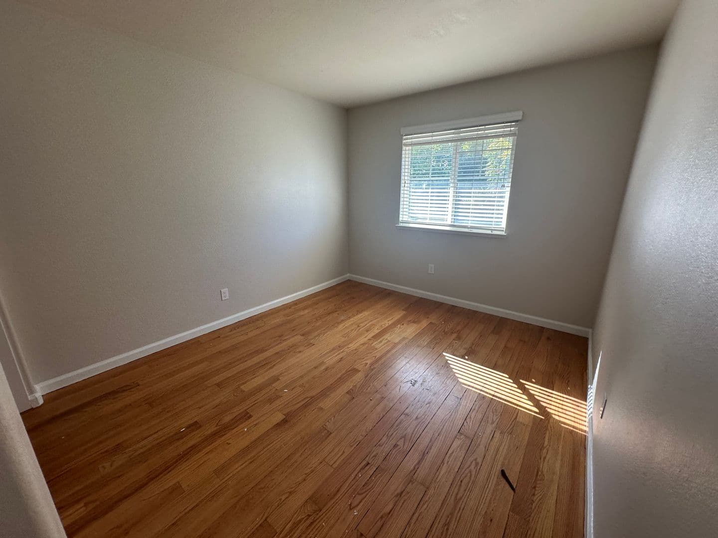 Tracy House: 1541 Peony Dr