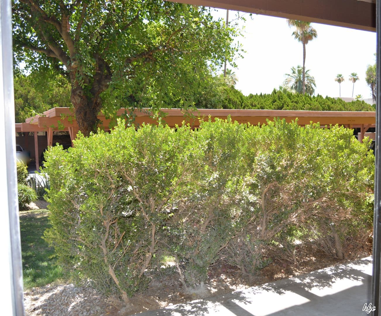 Palm Springs Condo: 1050 E. Ramon Rd  #43