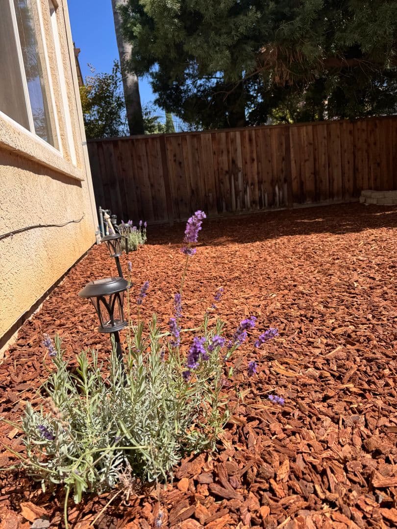 Brentwood House: 1830 Highland Way