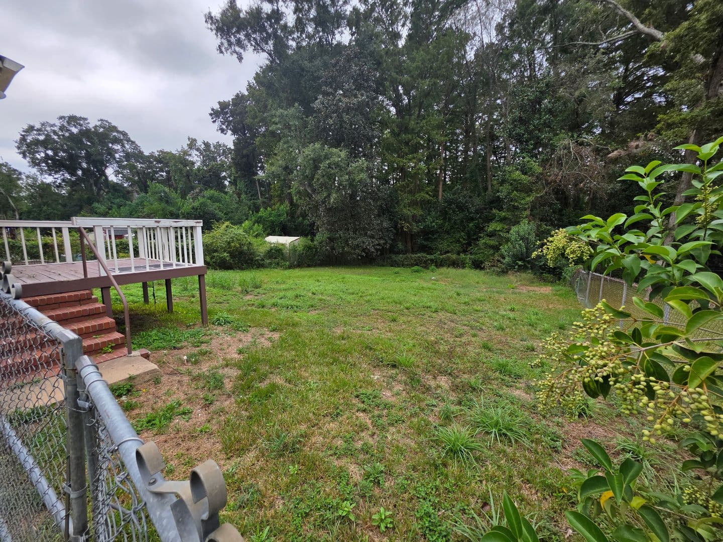 Augusta House: 2412 Bass Ave
