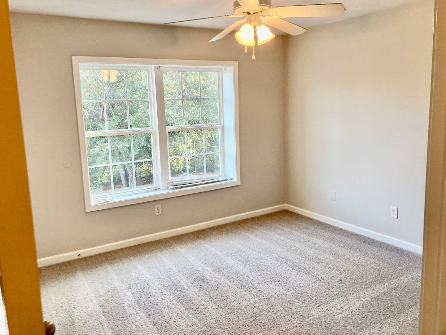 Augusta Apartment: Trapp Court