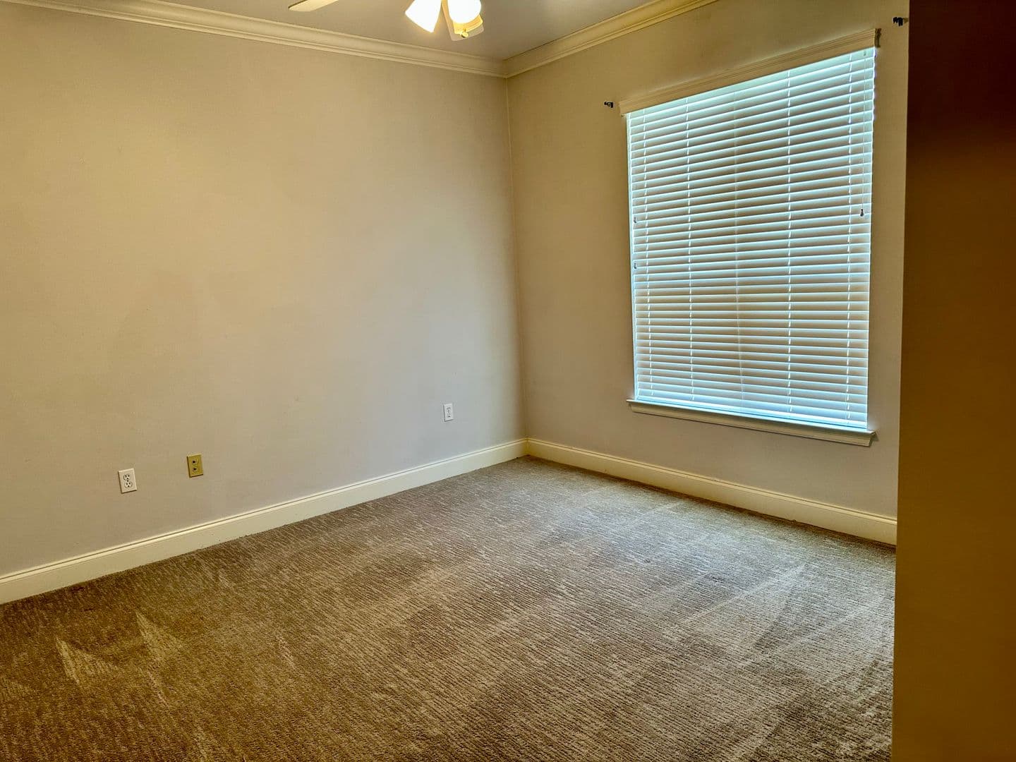 Baton Rouge House: 9721 Buttercup Drive