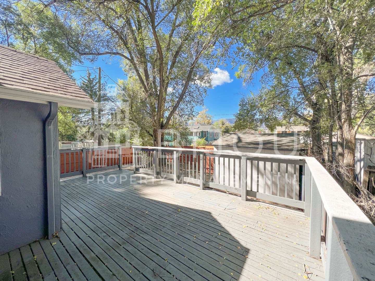 Colorado Springs Apartment: 238 N. Prospect St