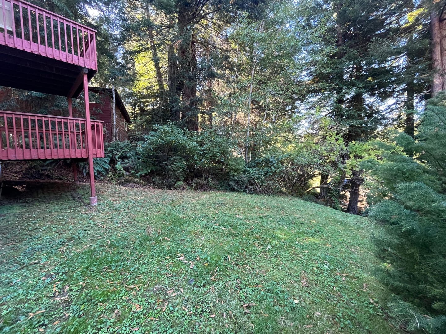 Eureka House: 1146 Vista DR